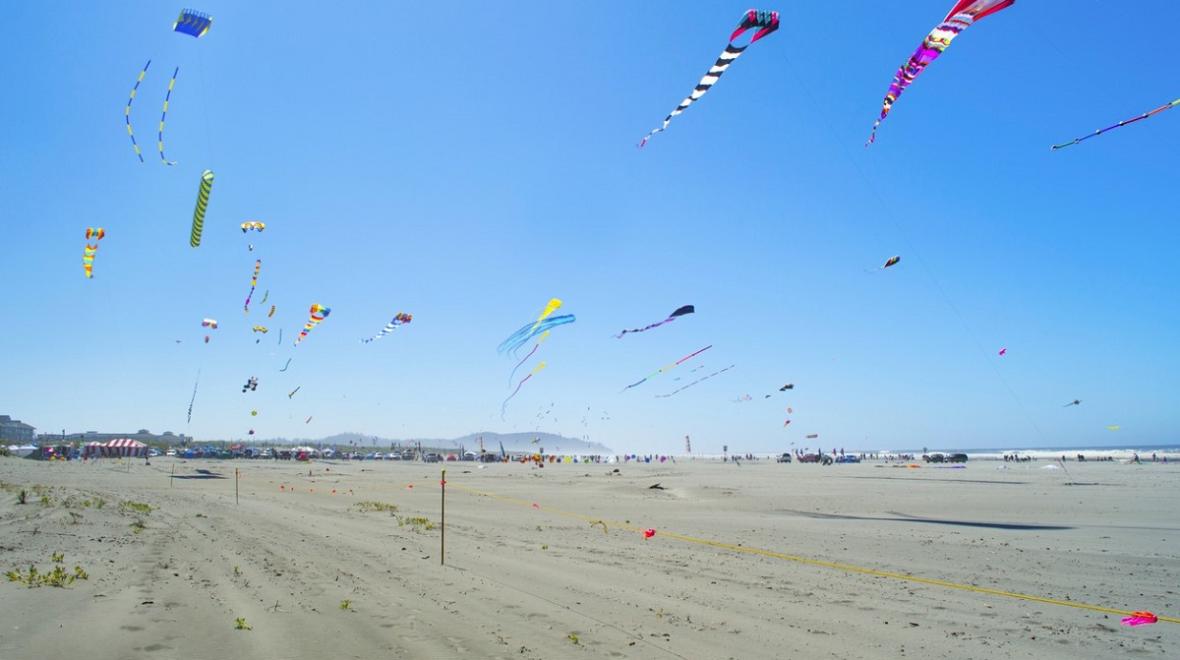 Experience the Long Beach WA Kite Festival 2024: A Comprehensive Guide