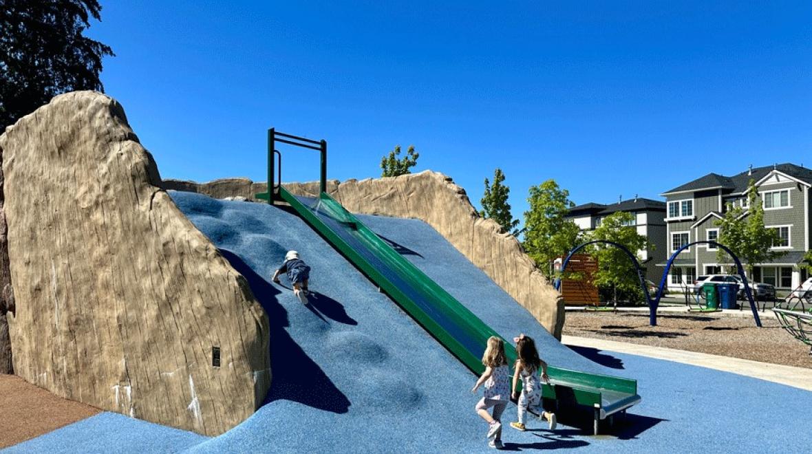 Young kids climb a tree-inspired mound and slide at the newest playground on the Eastside