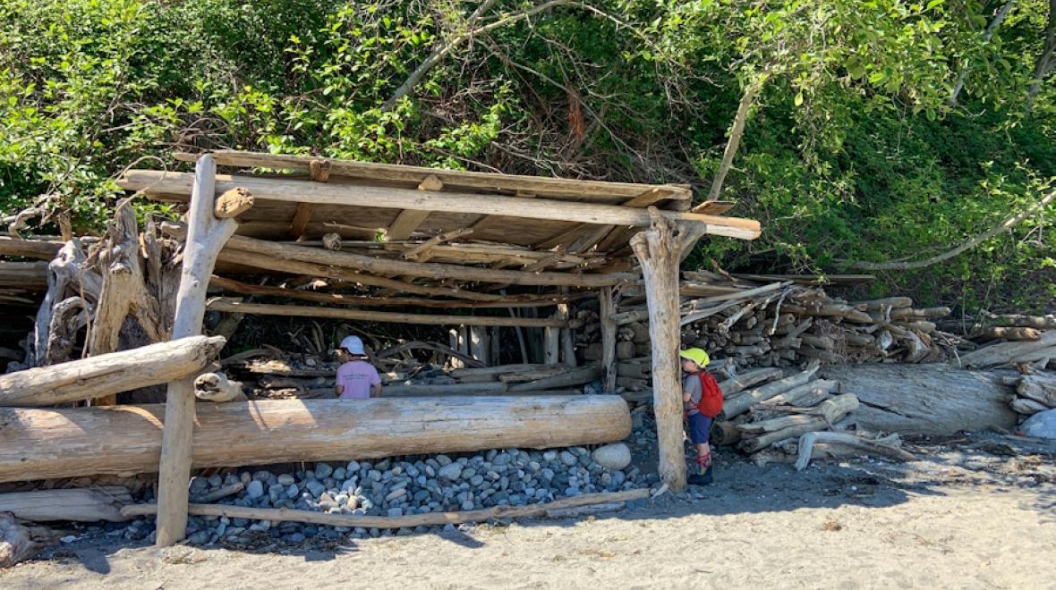 A driftwood structure you might find on a hike in kitsap county. This one is on Point No Point Beach