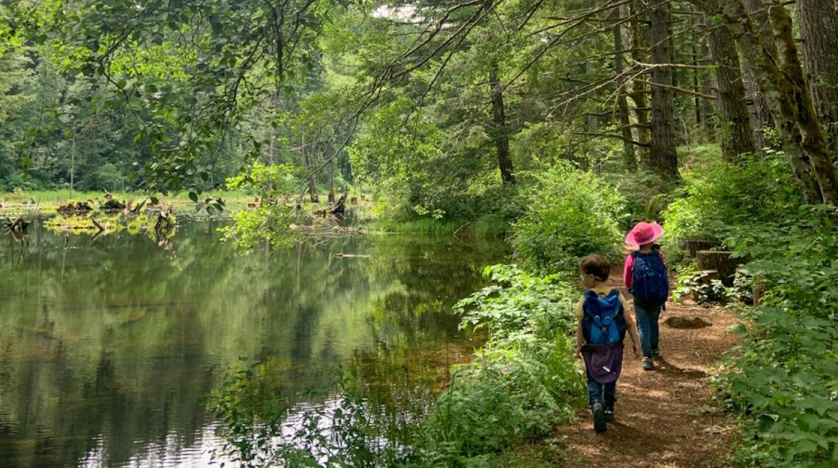 People enjoy the pond at Tin Mine one of the best kitsap county hikes in summer