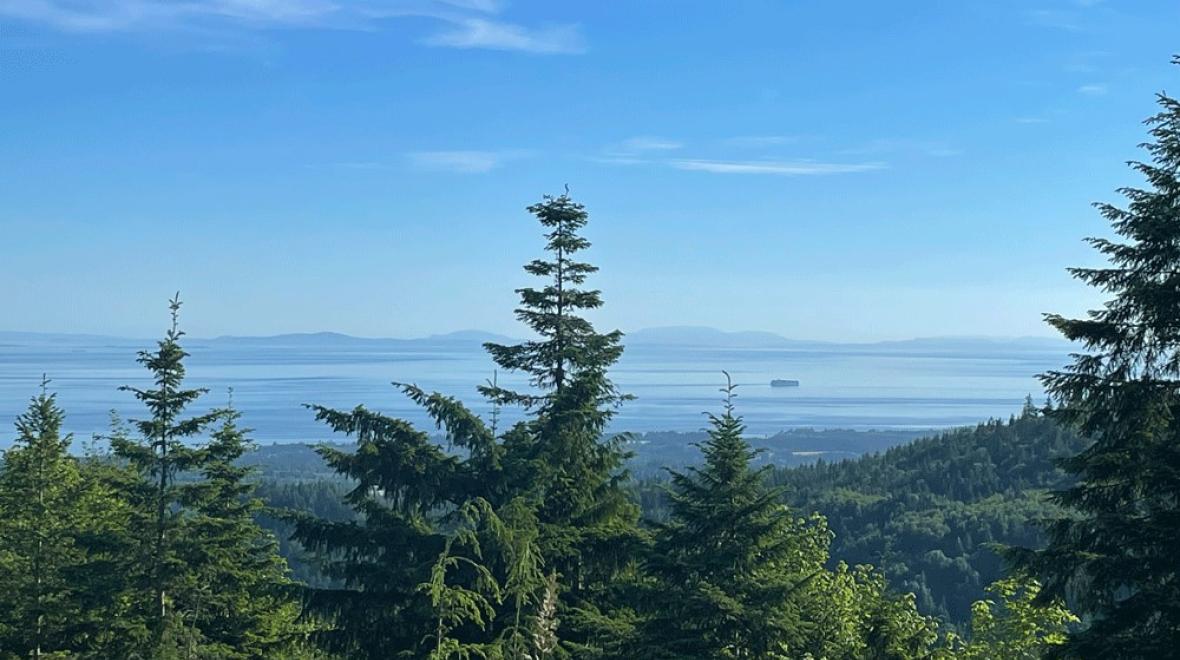 a ferry boat sails on water with pine trees from atop hurricane ridge on a search to find wildflowers near seattle