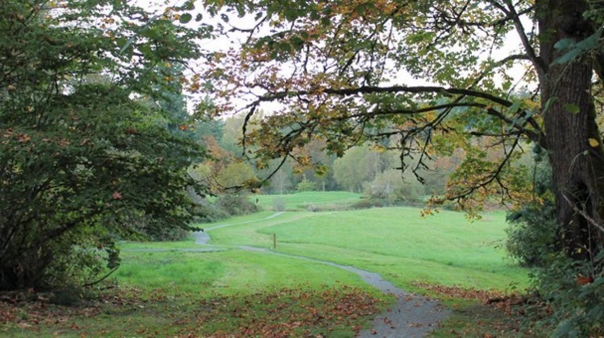 Enjoy a kid-friendly hike at Evans creek preserve in Sammamish