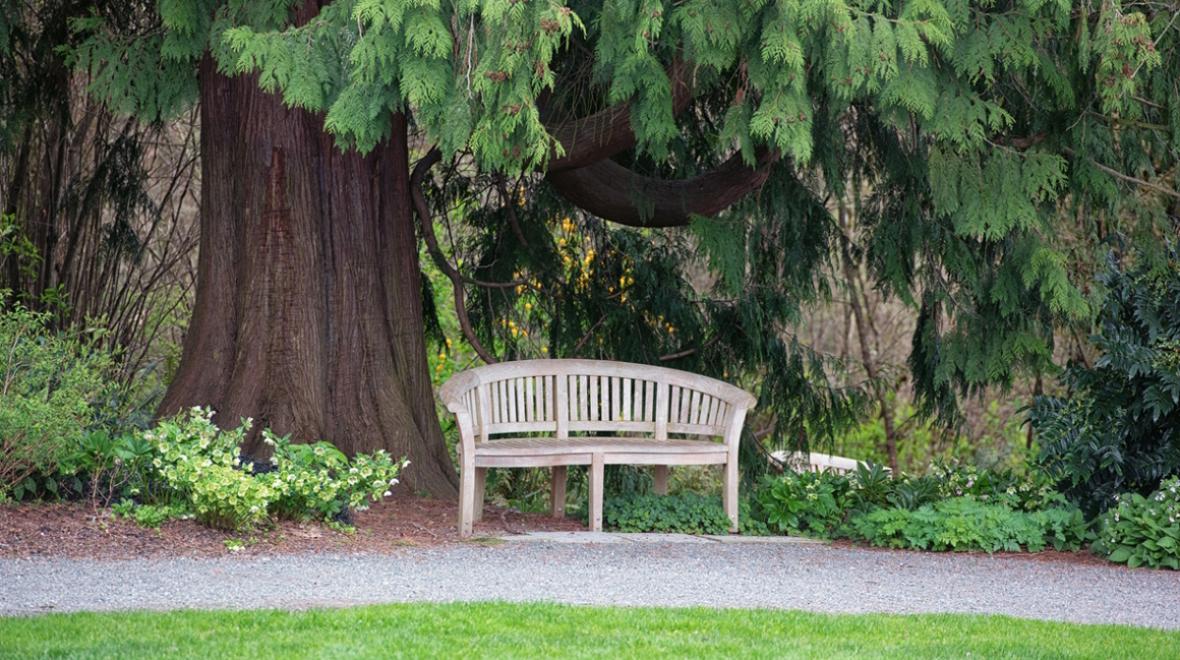 Enjoy a break on a bench when you are on a kid-friendly hike at Bellevue Botanical Garden