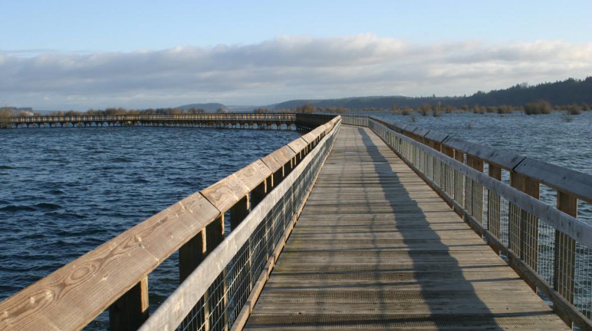 A long board walk at Billy Frank Jr. Nisqually National Wildlife Refuge during a hike near Seattle