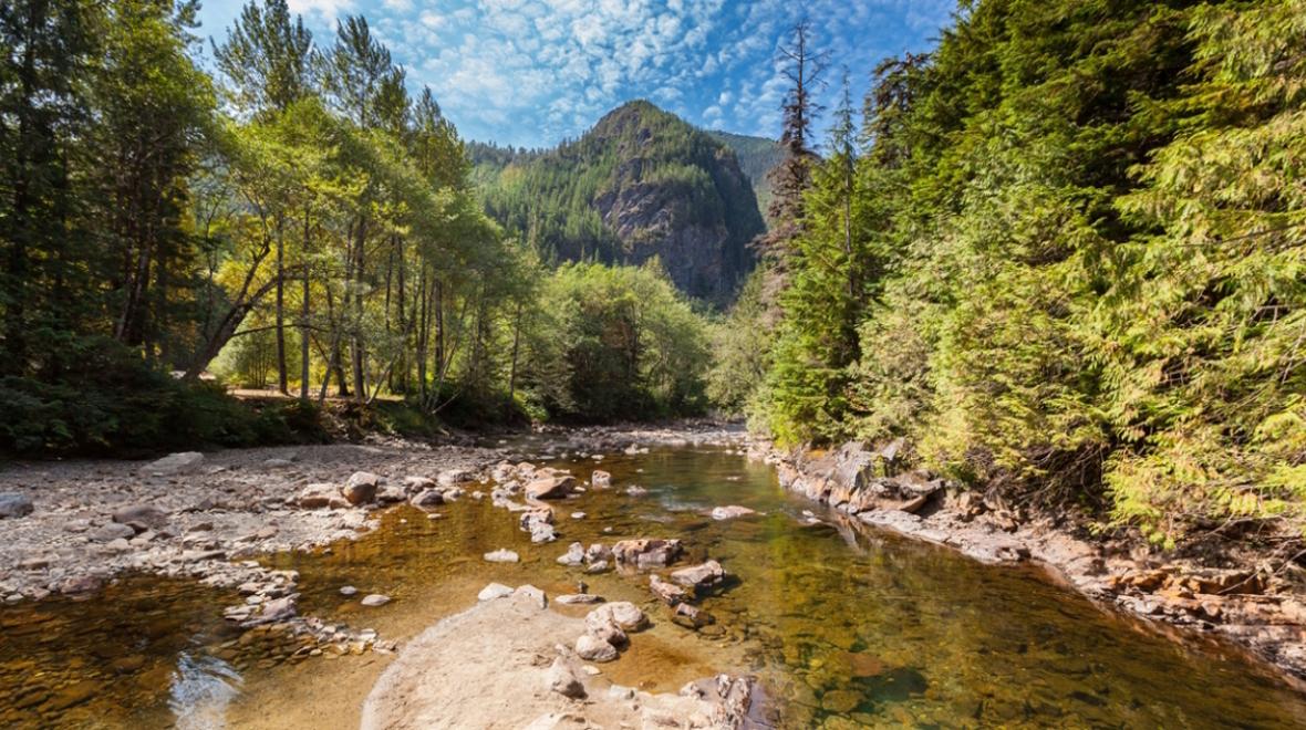  Olallie State Park, where Twin Falls Trailhead is found, a great kid-friendly fall hike