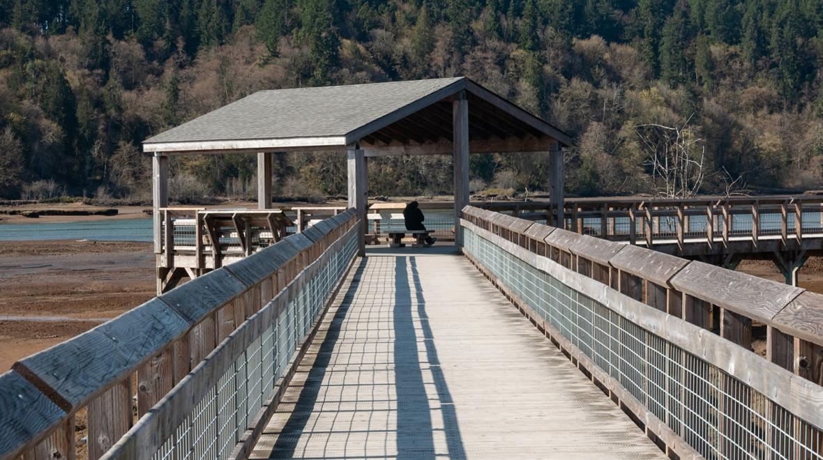  Billy Frank Jr. Nisqually National Wildlife Refuge, kid-friendly fall hike