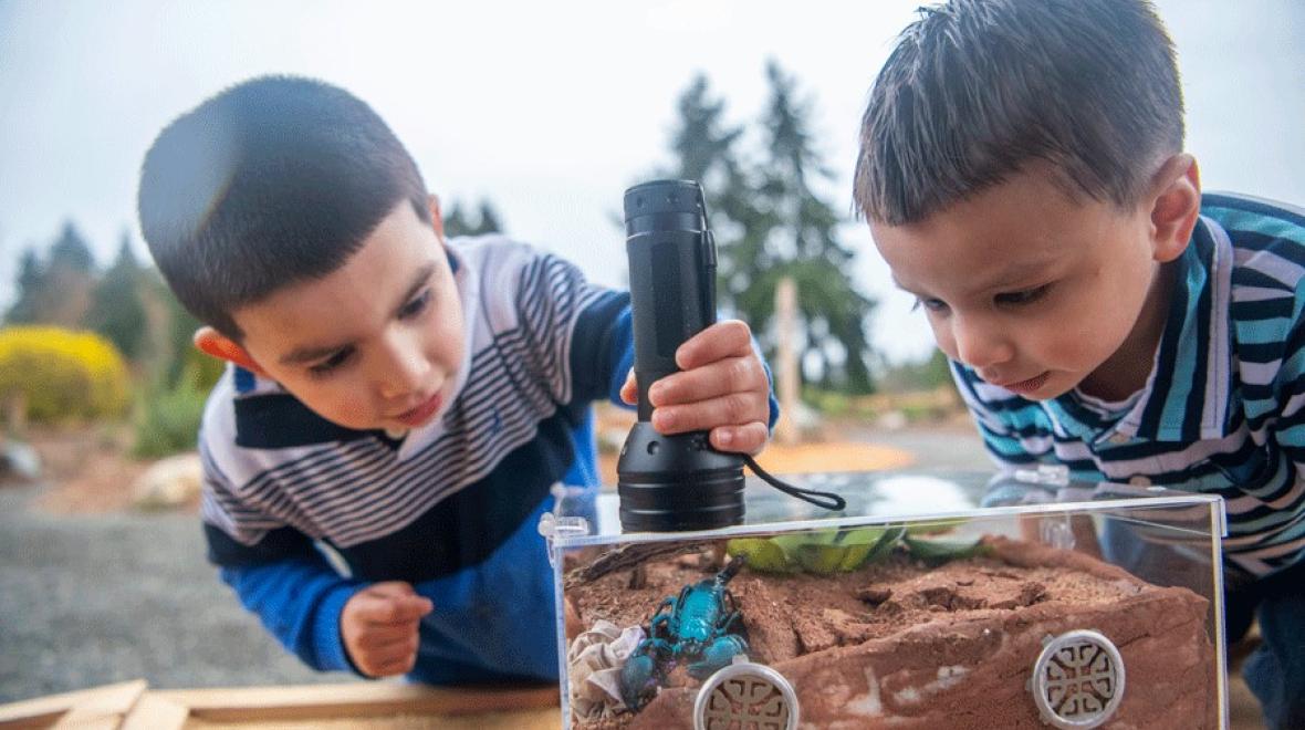 Two kids at Bugs Alive!, a Seattle-area insect encounter at Point Defiance Zoo and Aquarium