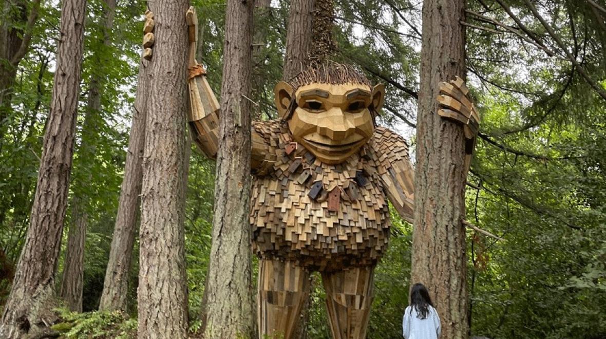 Find the Thomas Dambo trolls in the Pacific Northwest, including Jakob Two Trees in Issaquah.