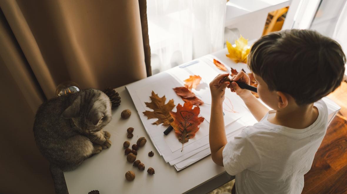 Boy and a cat working on Thanksgiving crafts