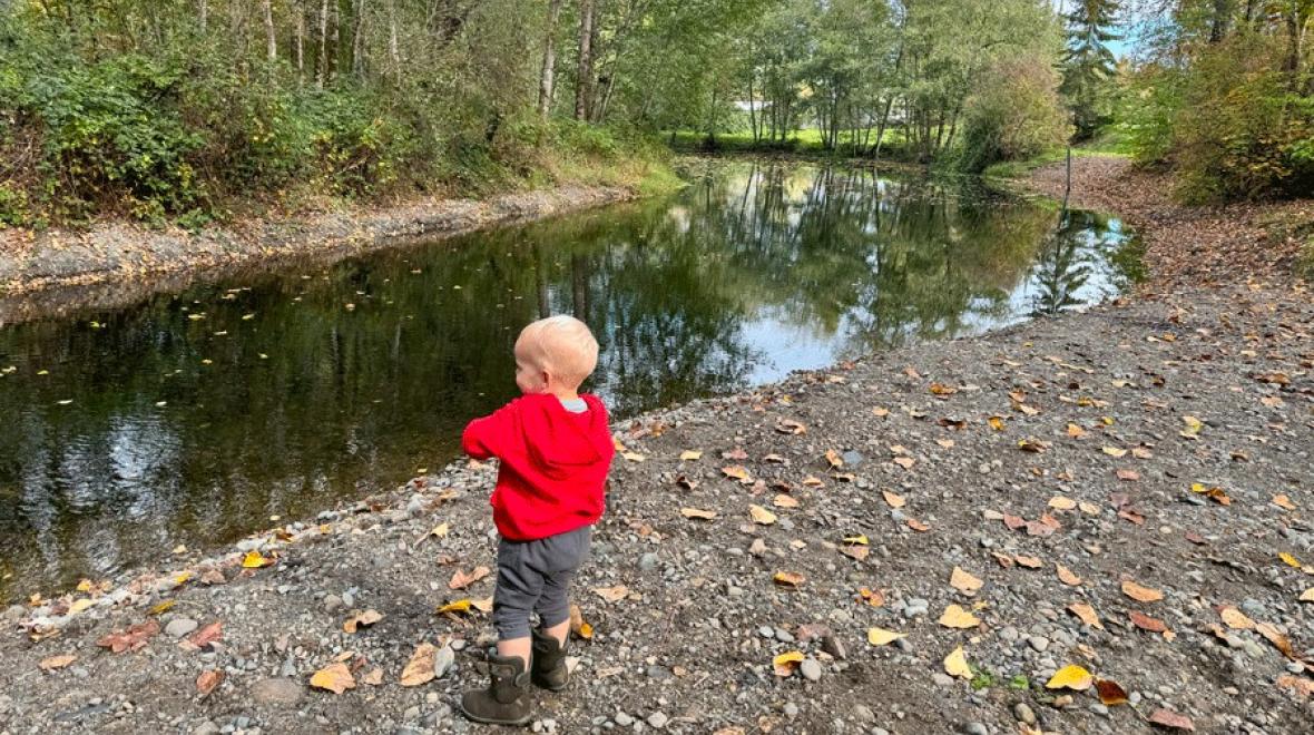 young boy at Swan Creek enjoying a fall hike with his family near Seattle