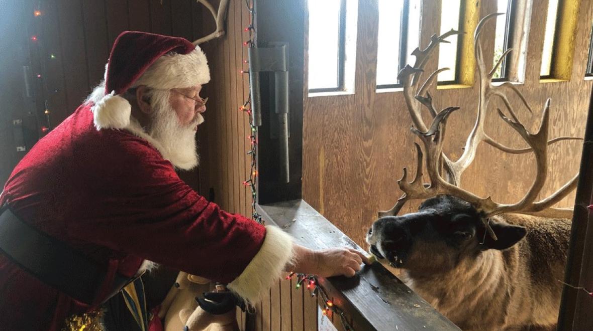 Santa feeding reindeer at the Issaquah Reindeer Festival, an affordable Christmas activity for Eastside families