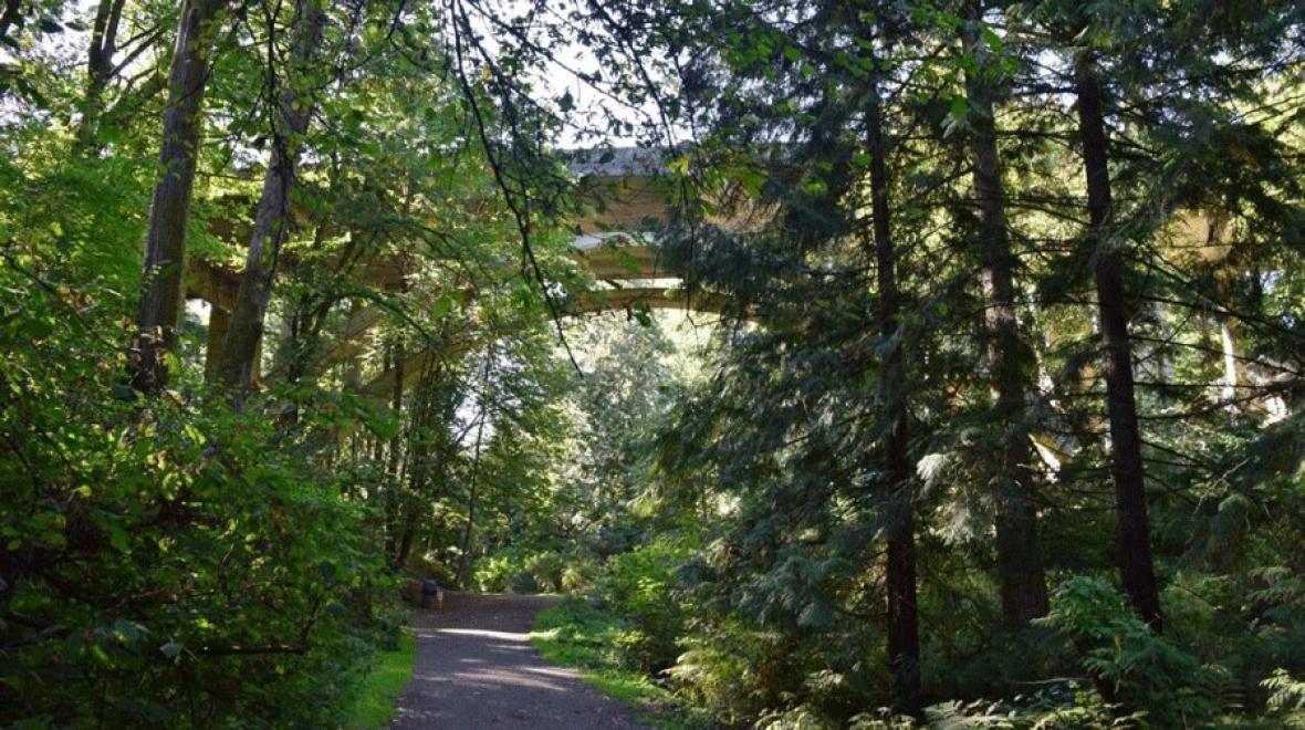 forest walk and view of Cowen Bridge, the main trail between Cowen and Ravenna Parks