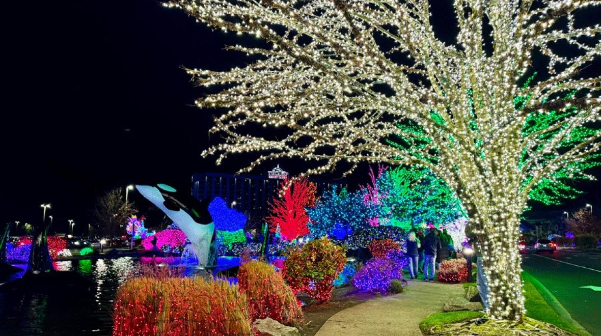 Orca water feature and sparkling lights at Tulalip Lights and Ice, a North Sound holiday light display