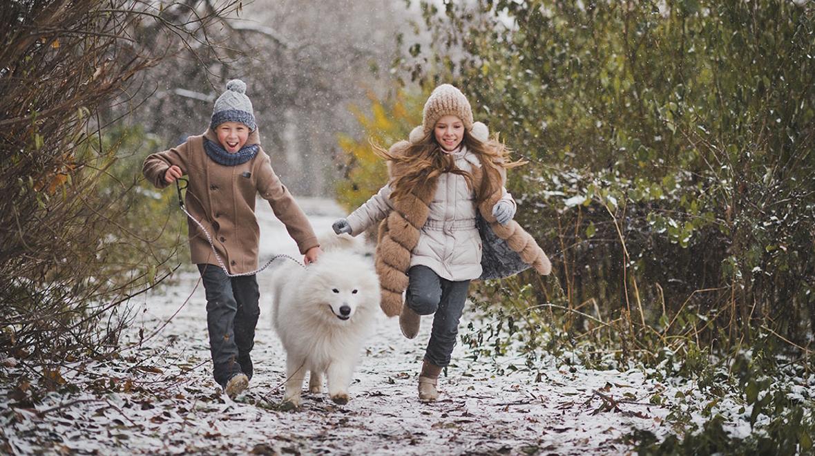 Kids running in the snow in the woods with a dog