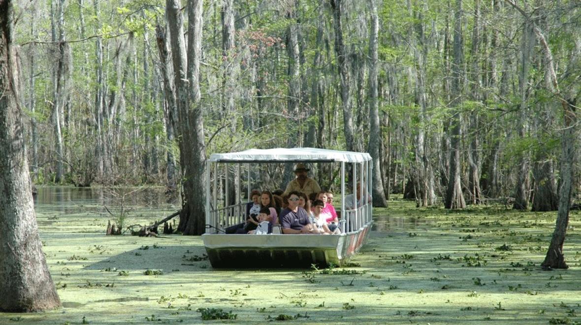 Swamp tour through New Orleans, a warm winter vacation destination for Seattle-area families