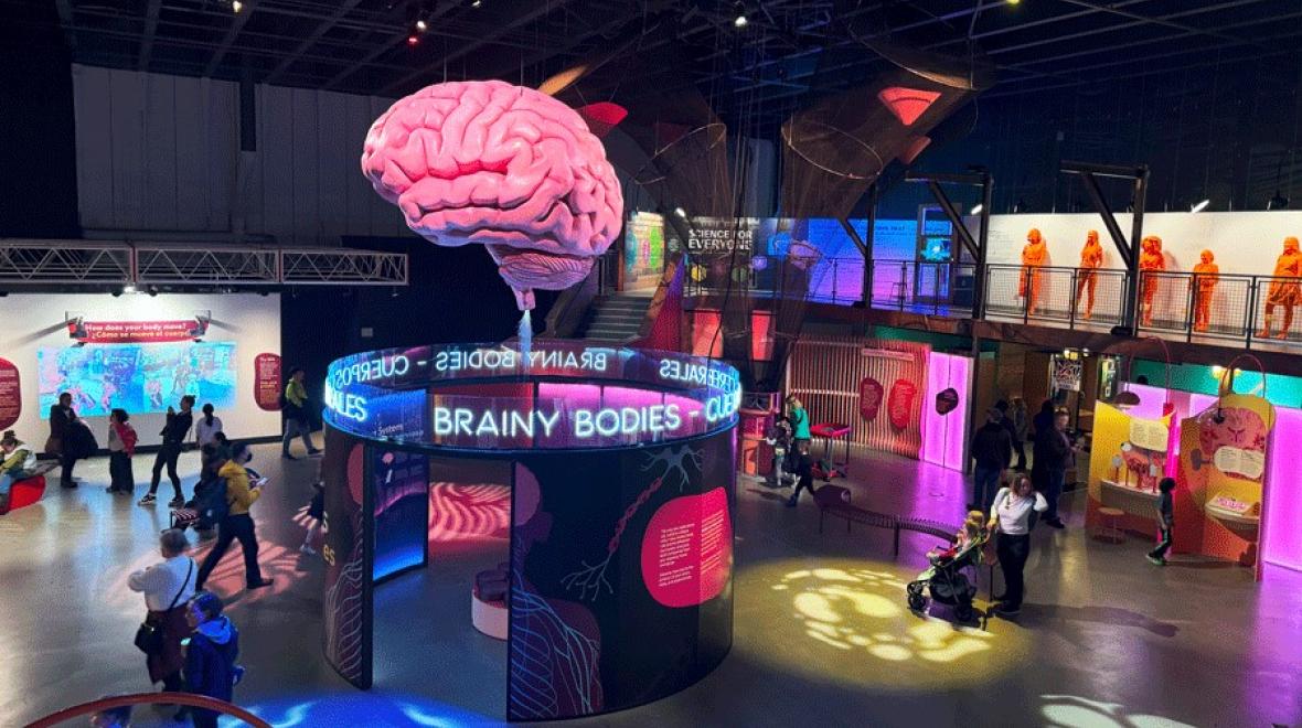 overhead view of the "Brainy Bodies" exhibit at Pacific Science Center in Seattle, a fun STEM-based activity for families