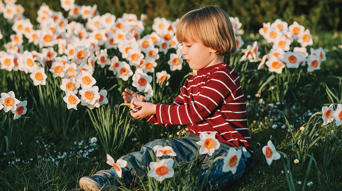 child sitting in a field of flowers