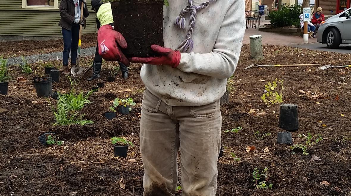 Tree Planting