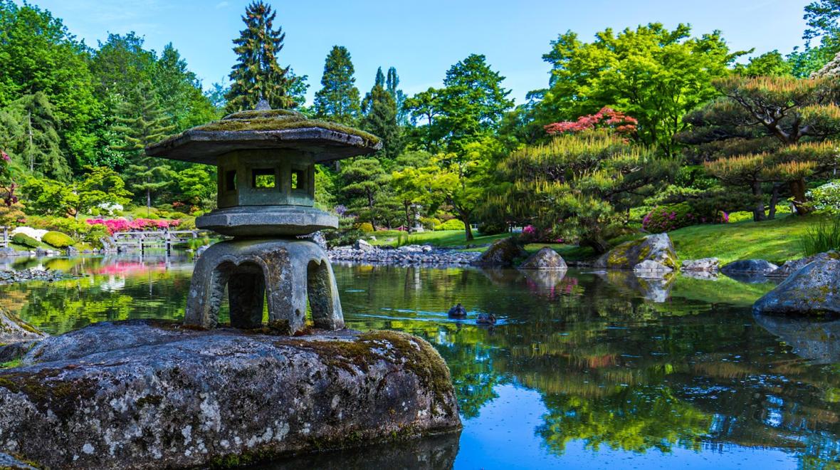 First Viewing 2024 Seattle Japanese Garden Opening Seattle Area   Openingimage 