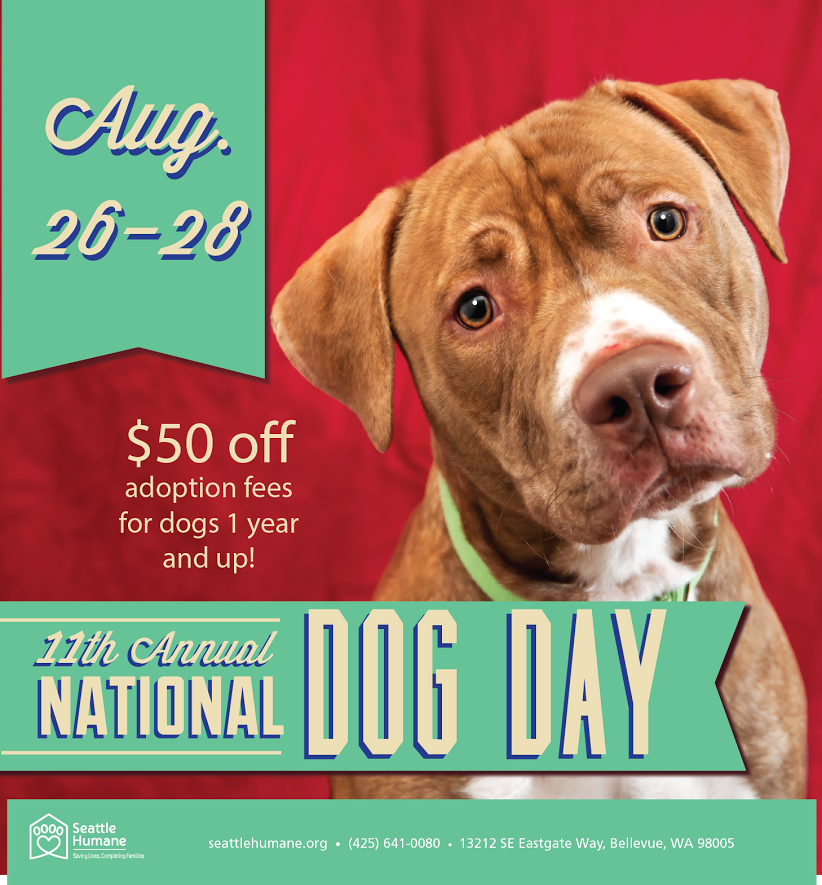 National Dog Days Seattle Area Family Fun Calendar ParentMap