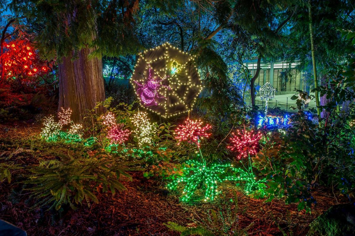 Garden d’Lights at the Bellevue Botanical Garden | Seattle Area Family ...