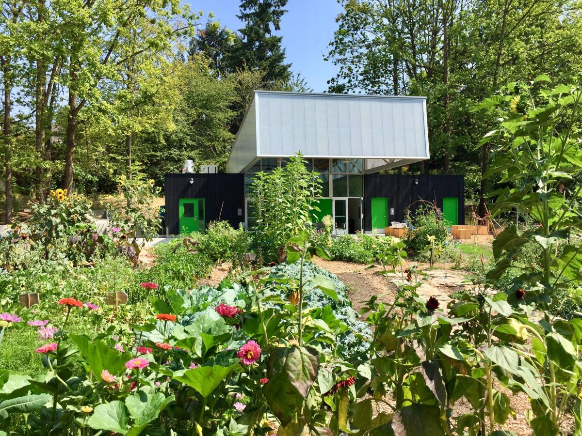 Farm Fest at Rainier Beach Urban Farm & Wetlands | Seattle Area Family ...