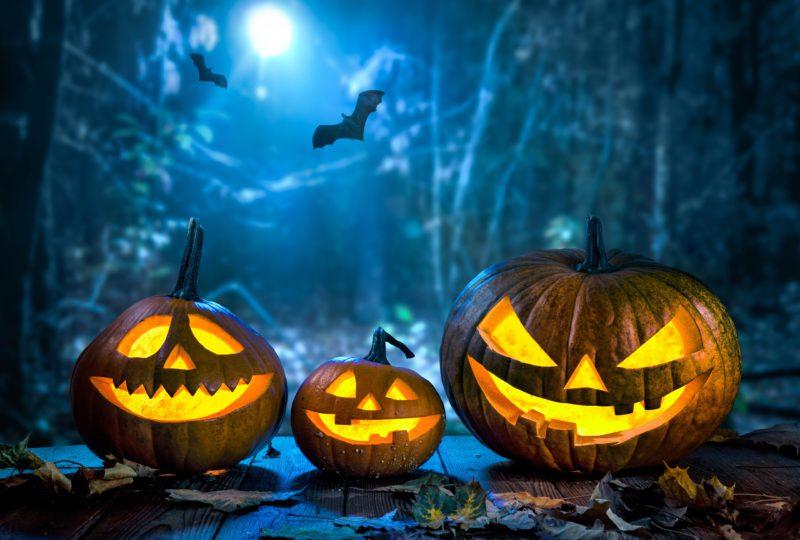 Spooky Night at the Garden | Seattle Area Family Fun Calendar | ParentMap