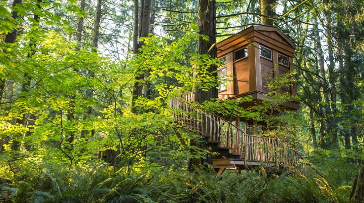 8 Super-Cool Treehouses, Forts and Lookouts to Explore With Kids