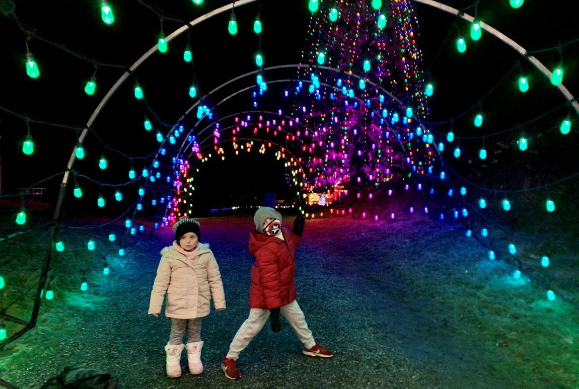 Maple Valley’s Dazzle Light Show Sparkles for Seattle-Area Families ...