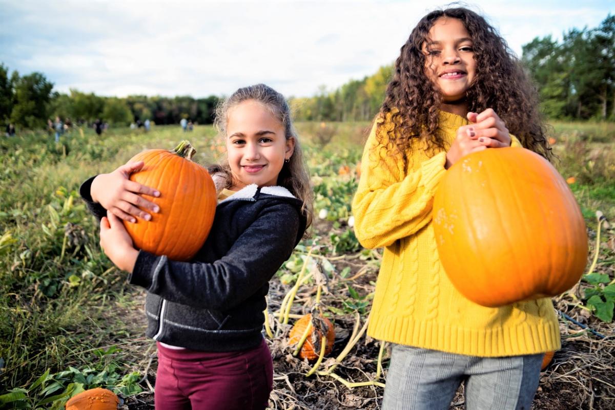 Best South Sound Pumpkin Patches