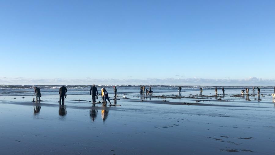 Clamming in Washington: A Guide for Famililes - ParentMap