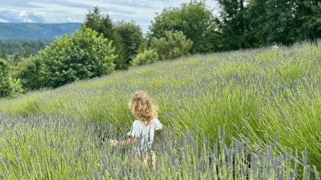 Young girl walking through a lavender field near Seattle