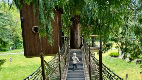 Young boy walks across the suspension bridge at a Sammamish treehouse, one of Seattle's many tree houses