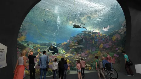 The new Ocean Pavilion exhibit at the Seattle Aquarium