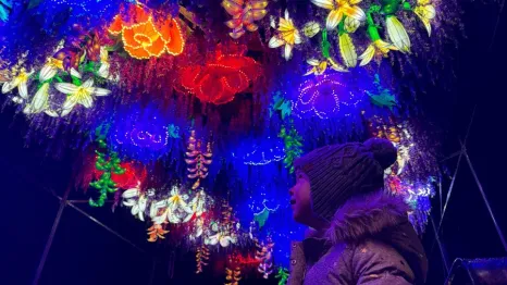 young girl looking up at "Boulevard of Blossoms" a WildLanterns display of hanging flowers at the west entrance of Woodland Park Zoo in Seattle