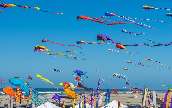 2024 Washington State International Kite Festival: Kites on a blue sky day at the beach