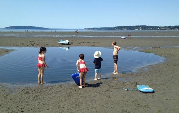 Kids play in a shallow pool of water in the sand on Everett's Jetty Island opening for summer 