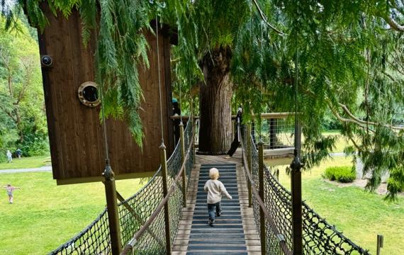Young boy walks across the suspension bridge at a Sammamish treehouse, one of Seattle's many tree houses