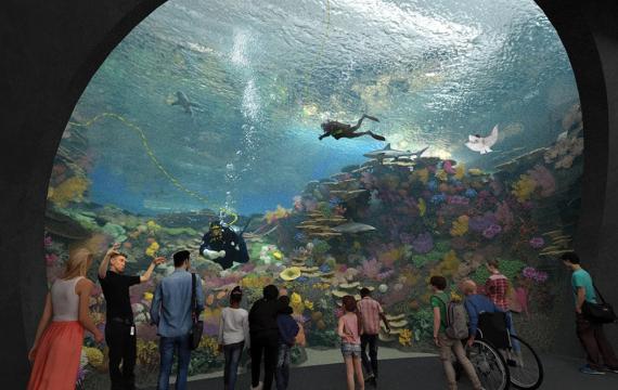 The new Ocean Pavilion exhibit at the Seattle Aquarium