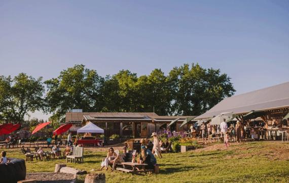 Finnriver Cidery, a family-friendly brewery near Tacoma 