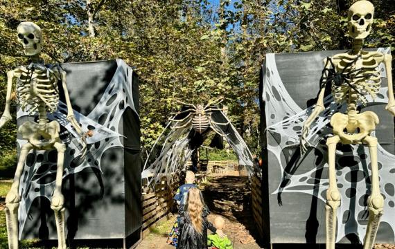 Kids walking into a haunted wood near Seattle, one of the many haunted houses and attractions for families