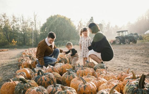 a family with two kids picking pumpkins at a pumpkin patch near Seattle, one of many family-friendly fall activities