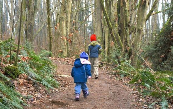 Nature walks in Seattle where you can take the kids without a long drive, including Discovery Park trails