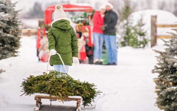 Family with a live u cut Christmas tree at a Christmas tree farm