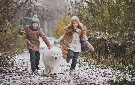 Kids running in the snow in the woods with a dog