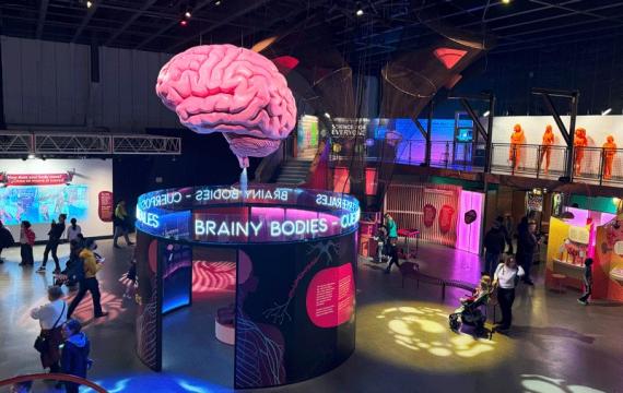 overhead view of the "Brainy Bodies" exhibit at Pacific Science Center in Seattle, a fun STEM-based activity for families