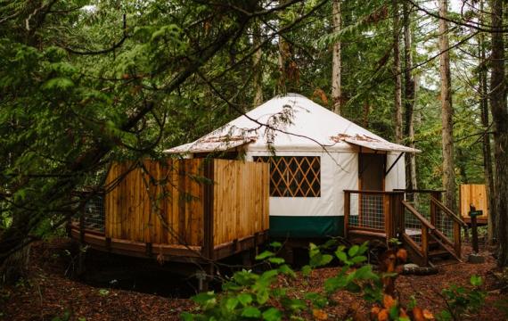 Yurt rental for glamping in the forest at Lakedale