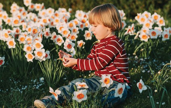 child sitting in a field of flowers