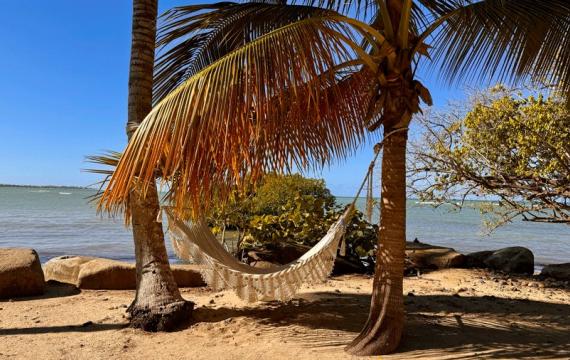 hammock garden by the beach at Hyatt Regency Grand Reserve Puerto Rico, a family-friendly resort