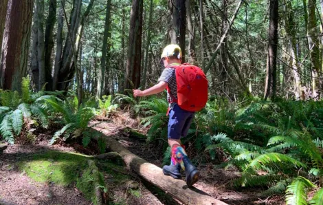 a boy on a log on a hike in kitsap county washington wearing a red backpack